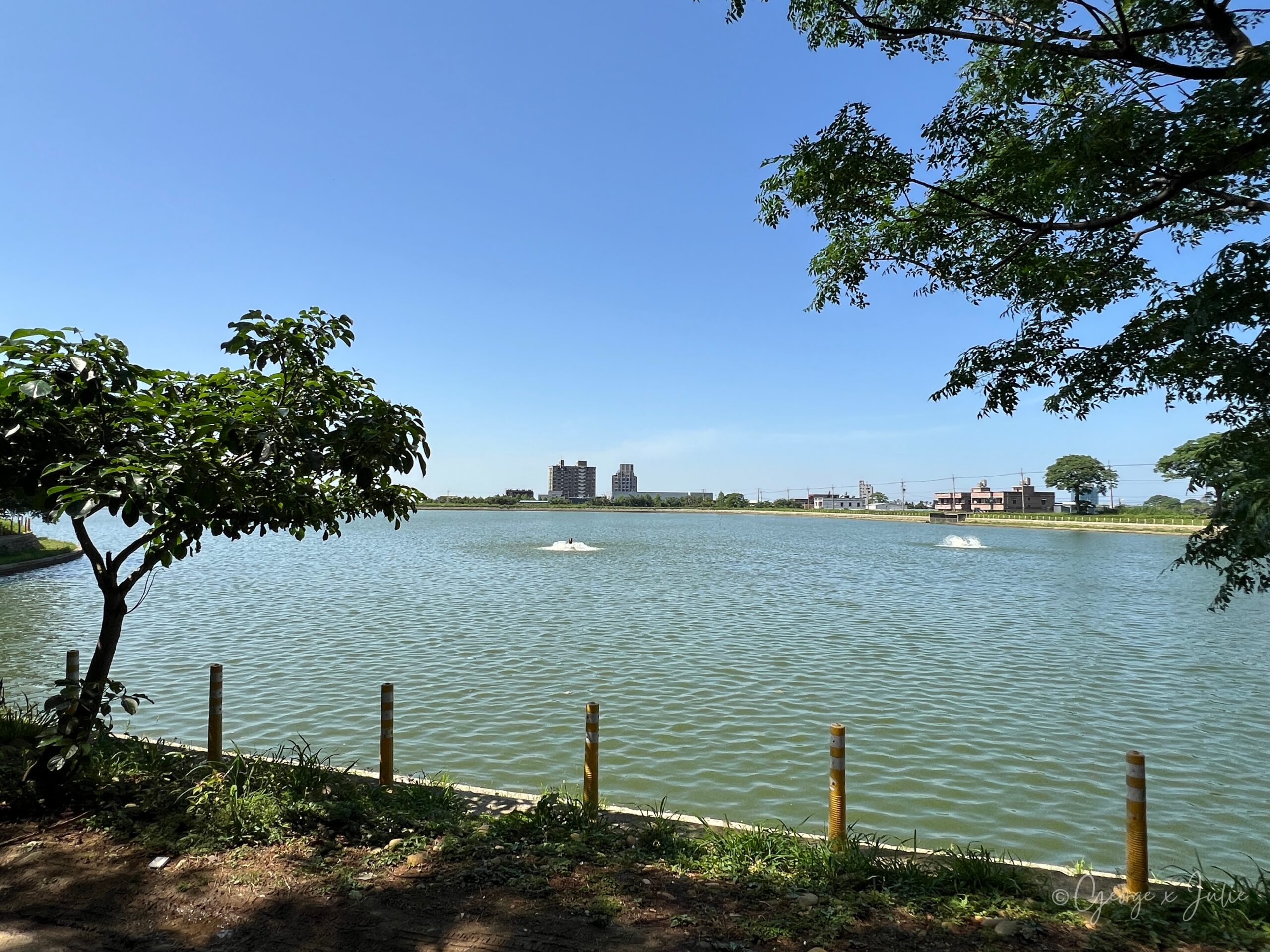 4-7休閒魚池餐廳餐廳門外魚塭景色，視野開闊
