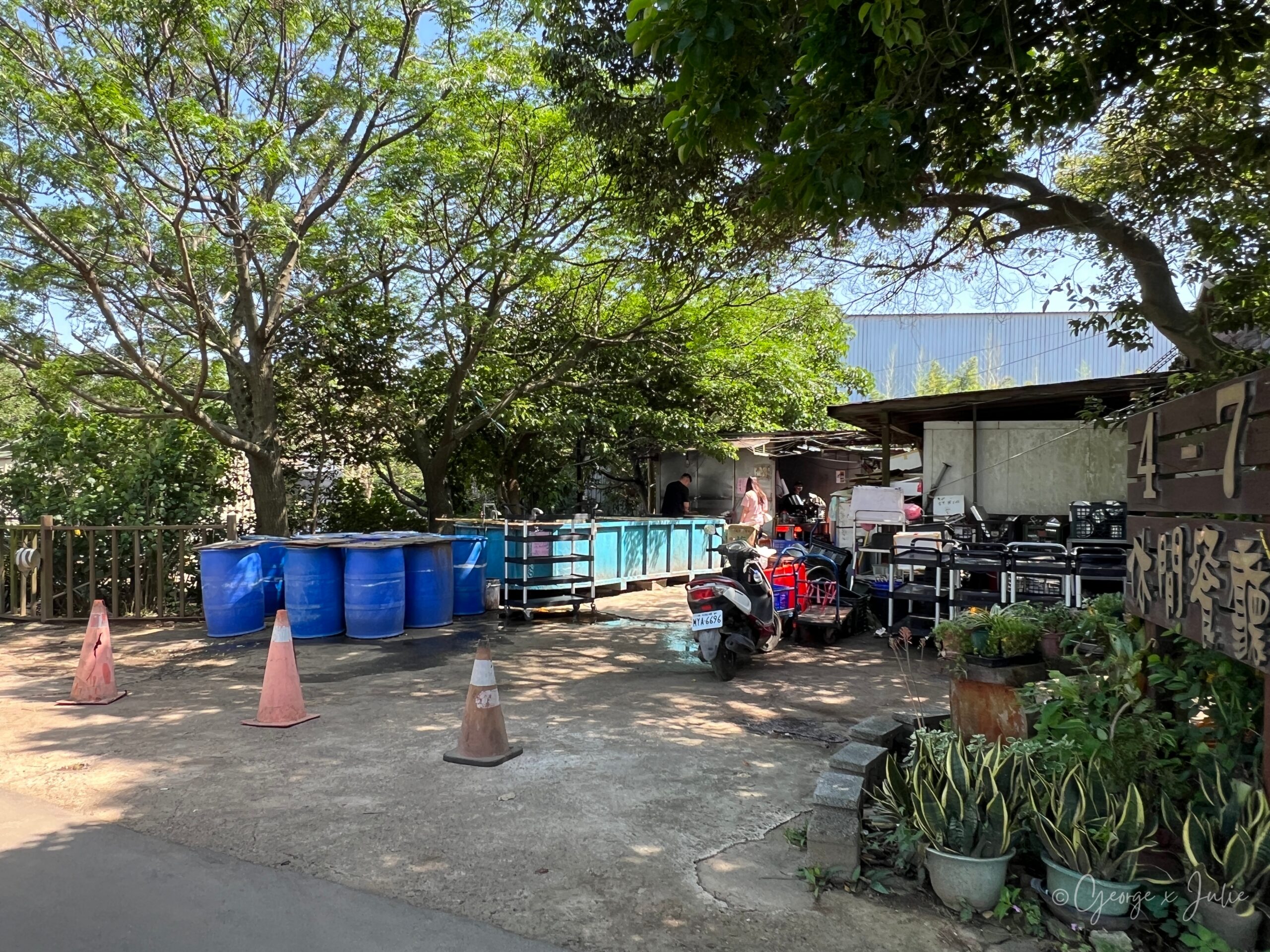 4-7休閒魚池餐廳入口旁的活魚水槽，點餐後現撈現殺