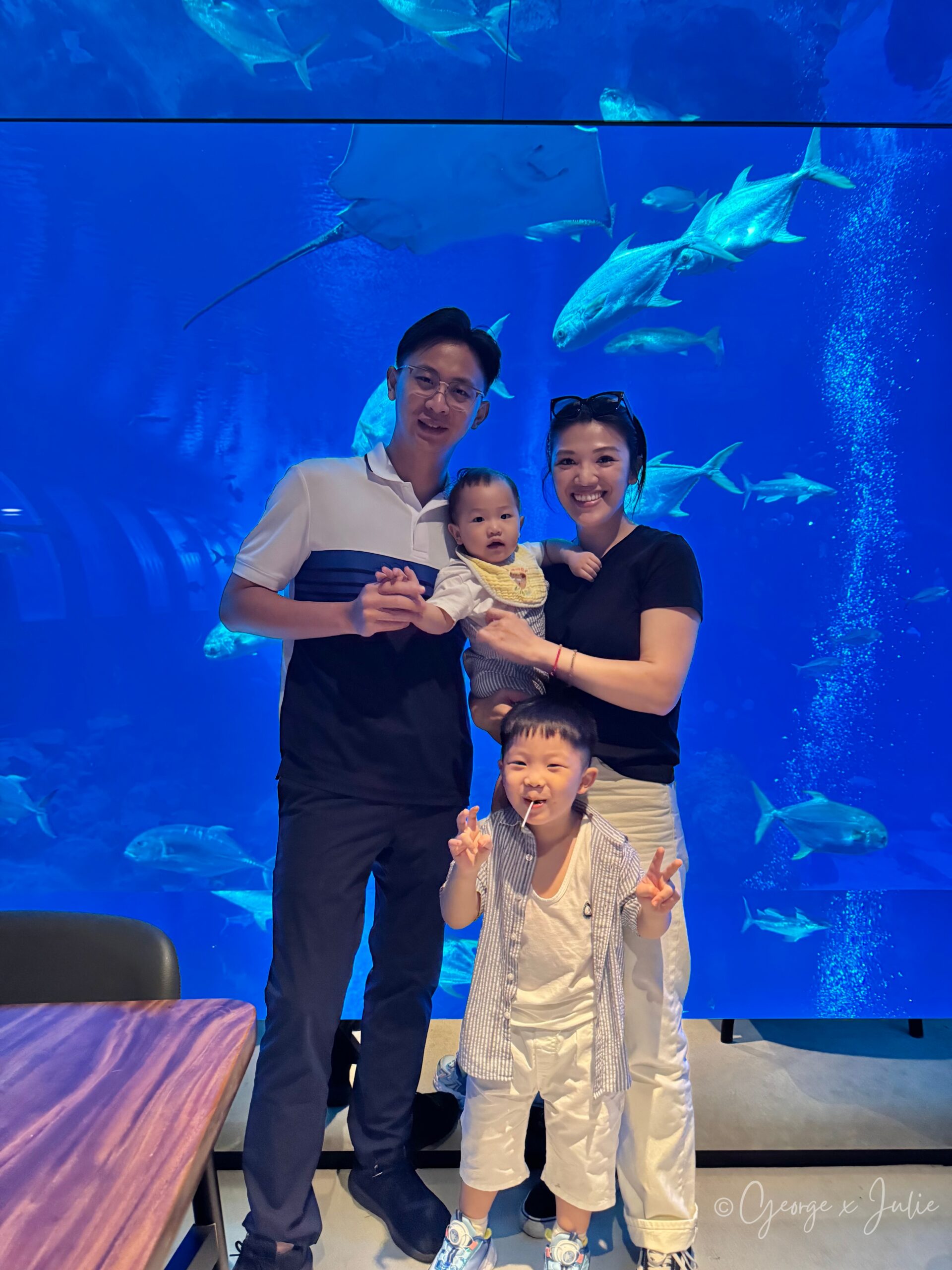 George、Julie帶著兩個孩子在水族箱前合照，背景魟魚與魚群成群游過