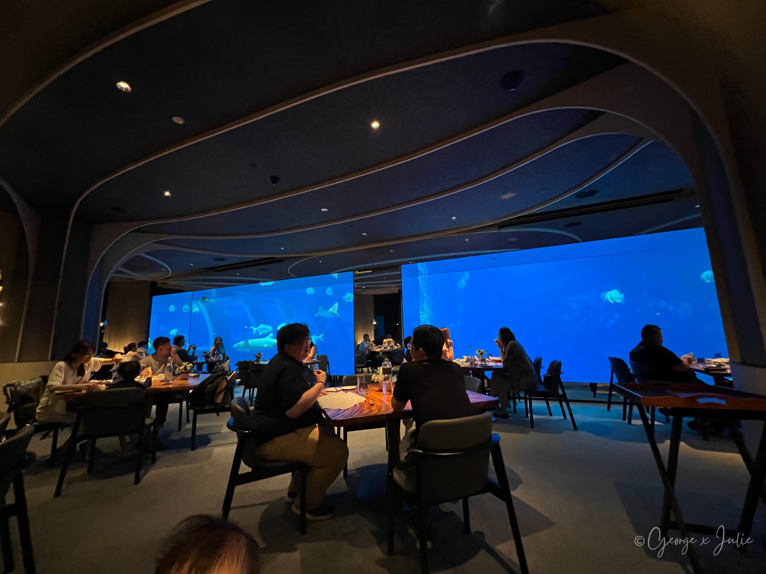 餐廳大片水族箱景觀，多桌用餐客人面對藍色水族箱，鯊魚與魟魚在水中游過
