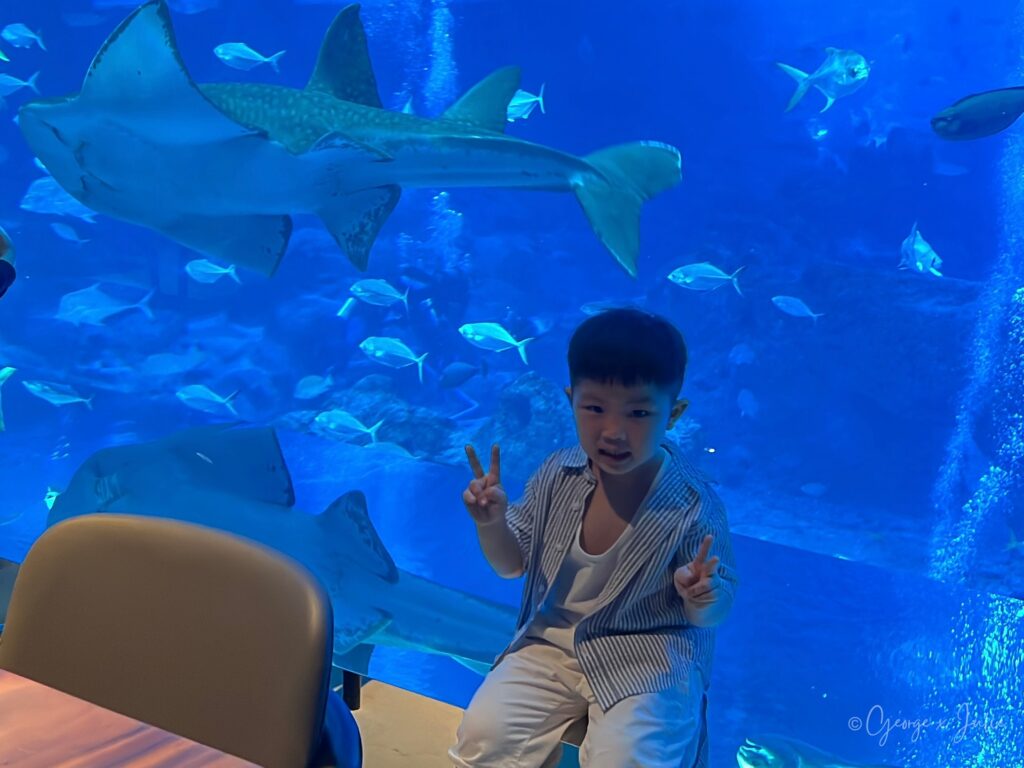 兒子站在水族箱前比YA，背景有魟魚和魚群游過