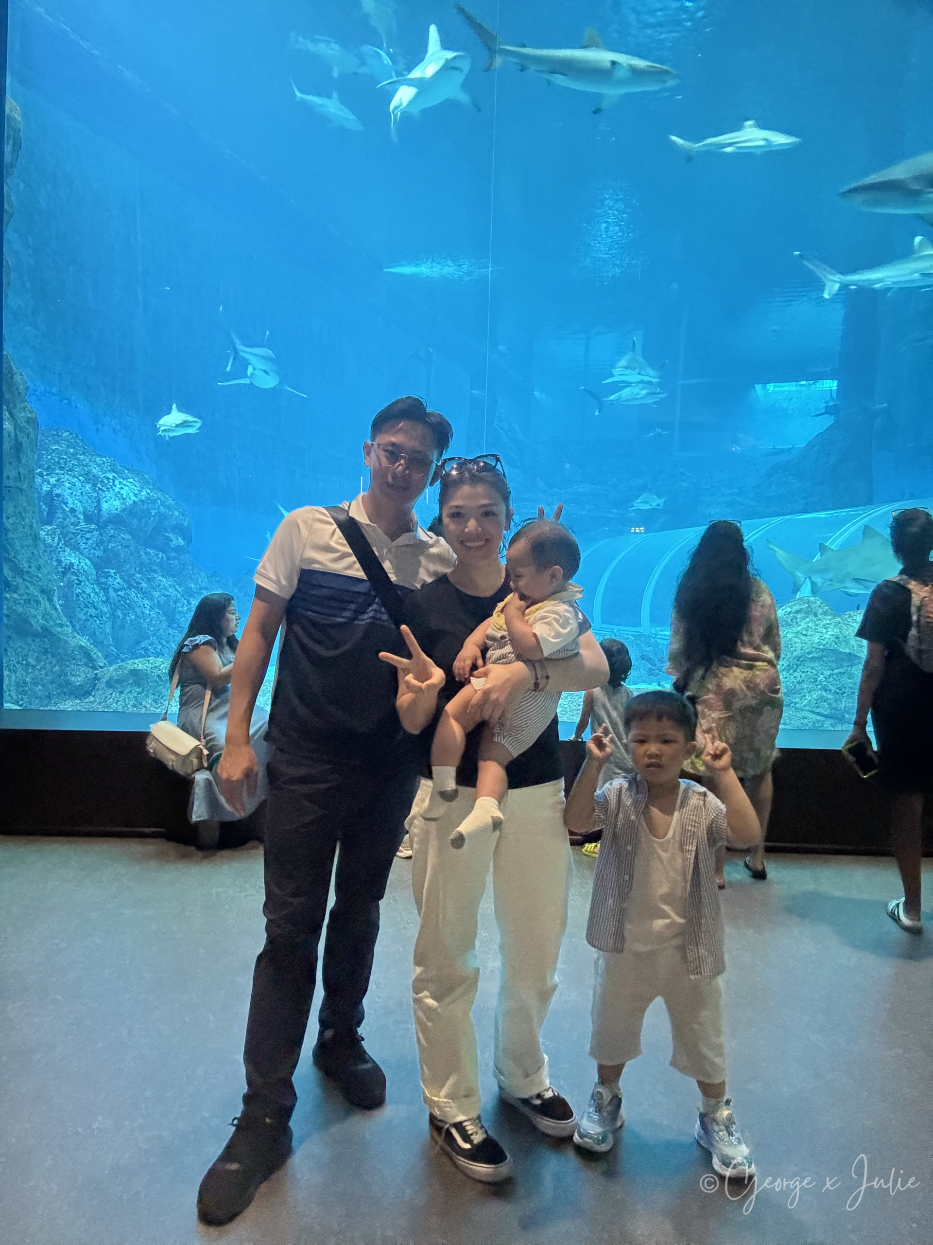 George、Julie與孩子們在Shark Seas展區玻璃前合照，背景是成群鯊魚游過
