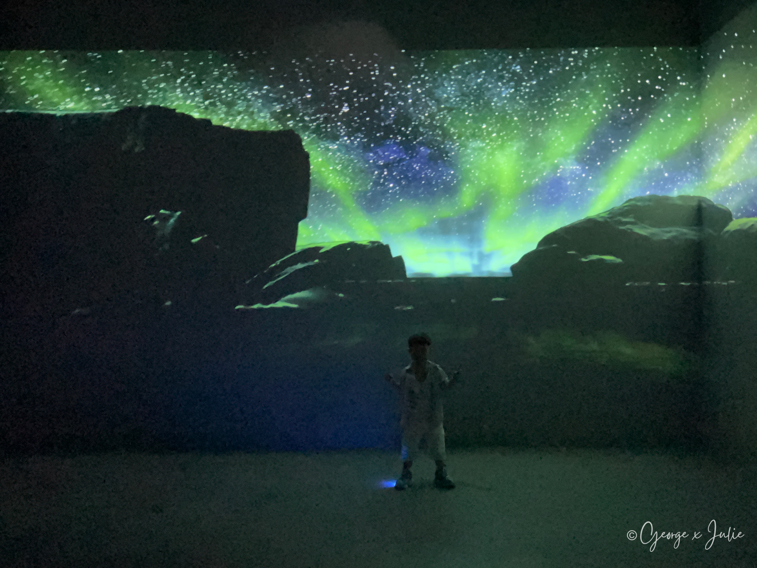 Jensen站在極光與星空投影牆前，綠色極光灑滿整片牆面