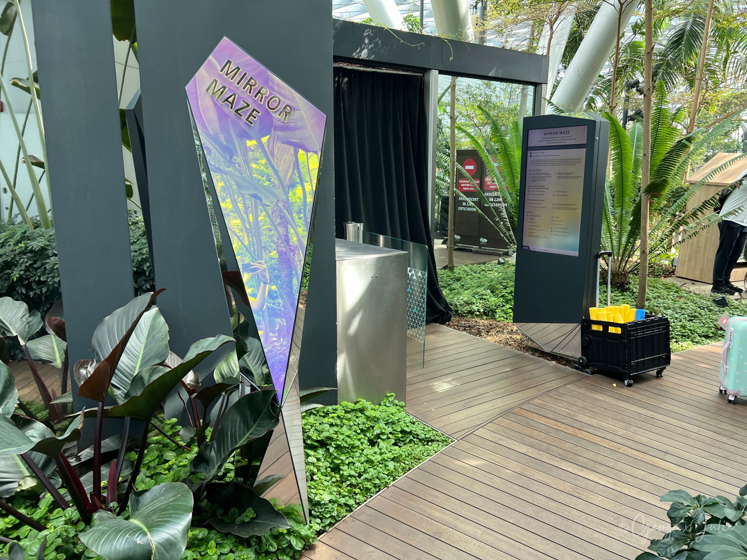 【新加坡親子景點】星耀樟宜星空花園Canopy Park|鏡子迷宮、天懸橋親子實玩攻略 4 MIRROR MAZE(鏡子迷宮)的三角招牌立在入口植栽旁,紫色燈光在鏡面上反射出漸層