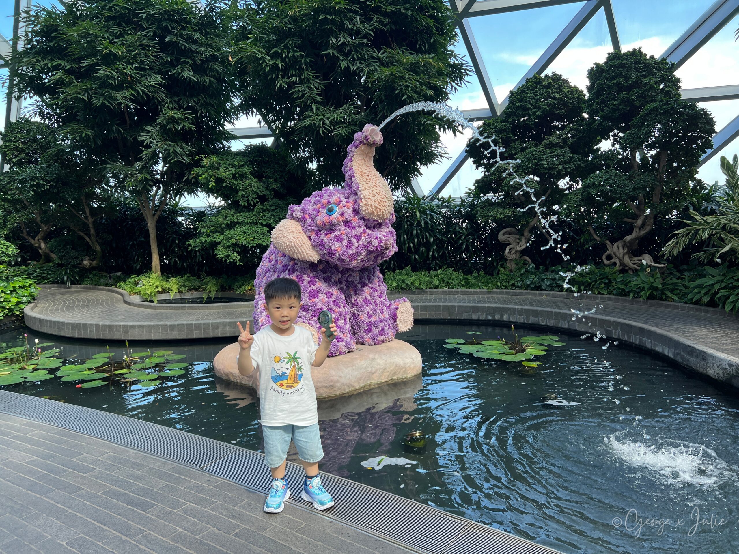 【新加坡親子景點】星耀樟宜星空花園Canopy Park|鏡子迷宮、天懸橋親子實玩攻略 14 孔雀造型的花藝雕塑,尾巴用整片花海撐開,是 Topiary Walk(灌木花園)裡最好拍的一座
