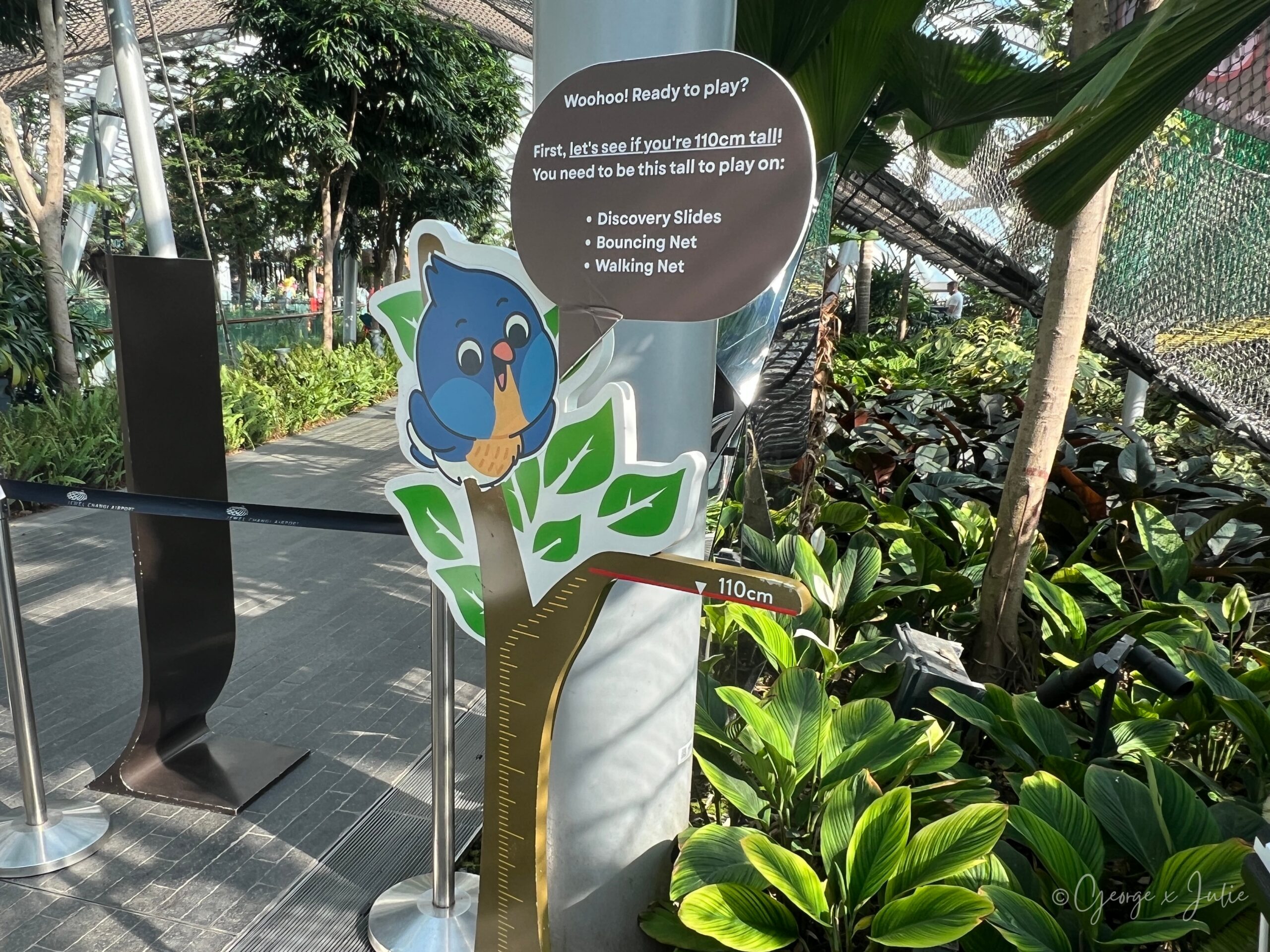【新加坡親子景點】星耀樟宜星空花園Canopy Park|鏡子迷宮、天懸橋親子實玩攻略 8 入口旁的量身高看板寫著奇幻滑梯、蹦跳網和步行網都要滿 110 公分才能玩
