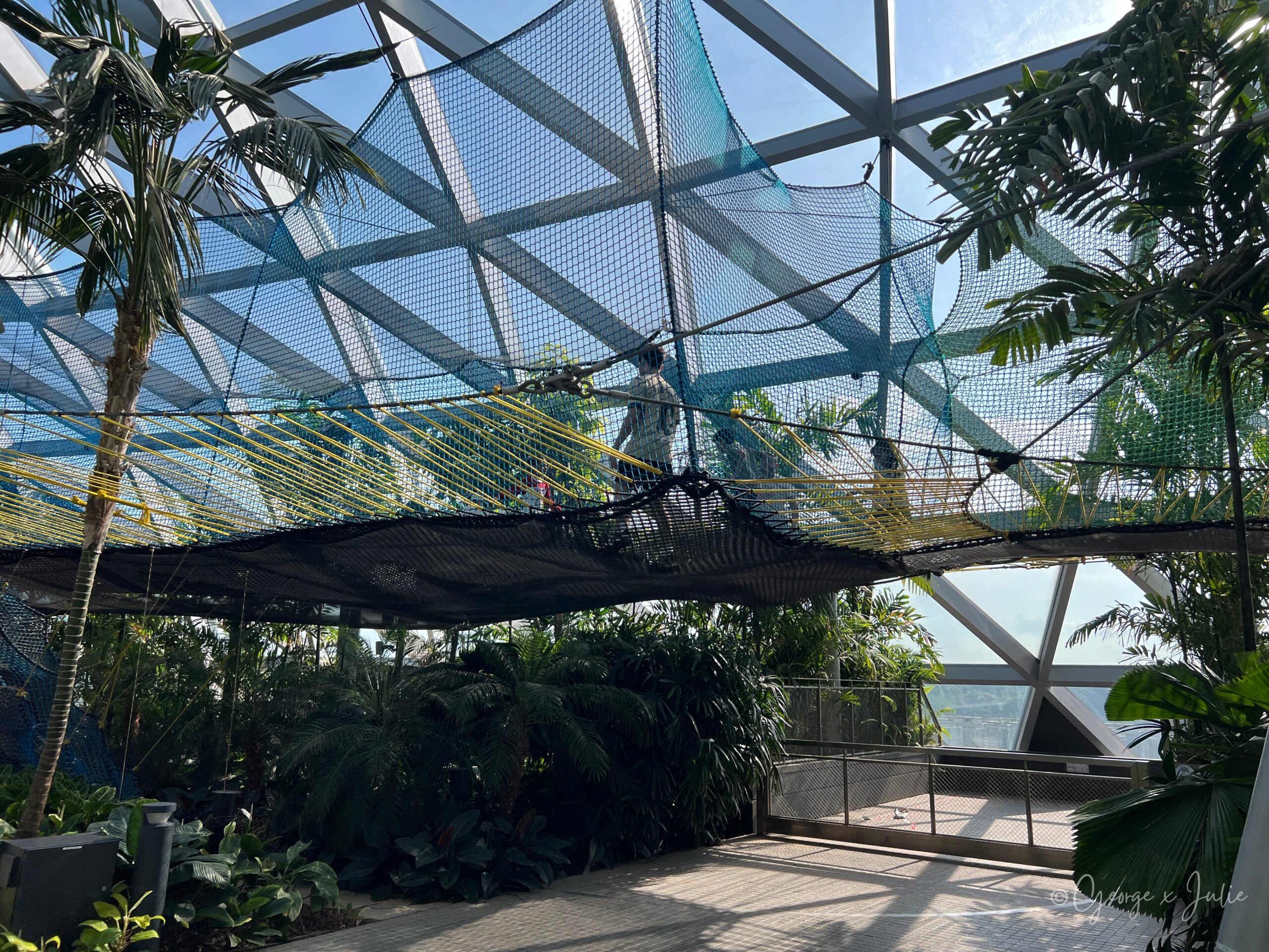 【新加坡親子景點】星耀樟宜星空花園Canopy Park|鏡子迷宮、天懸橋親子實玩攻略 9 懸空網(Walking Net)架在半空中,黃色繩索交織成網面,遊客正走在上面