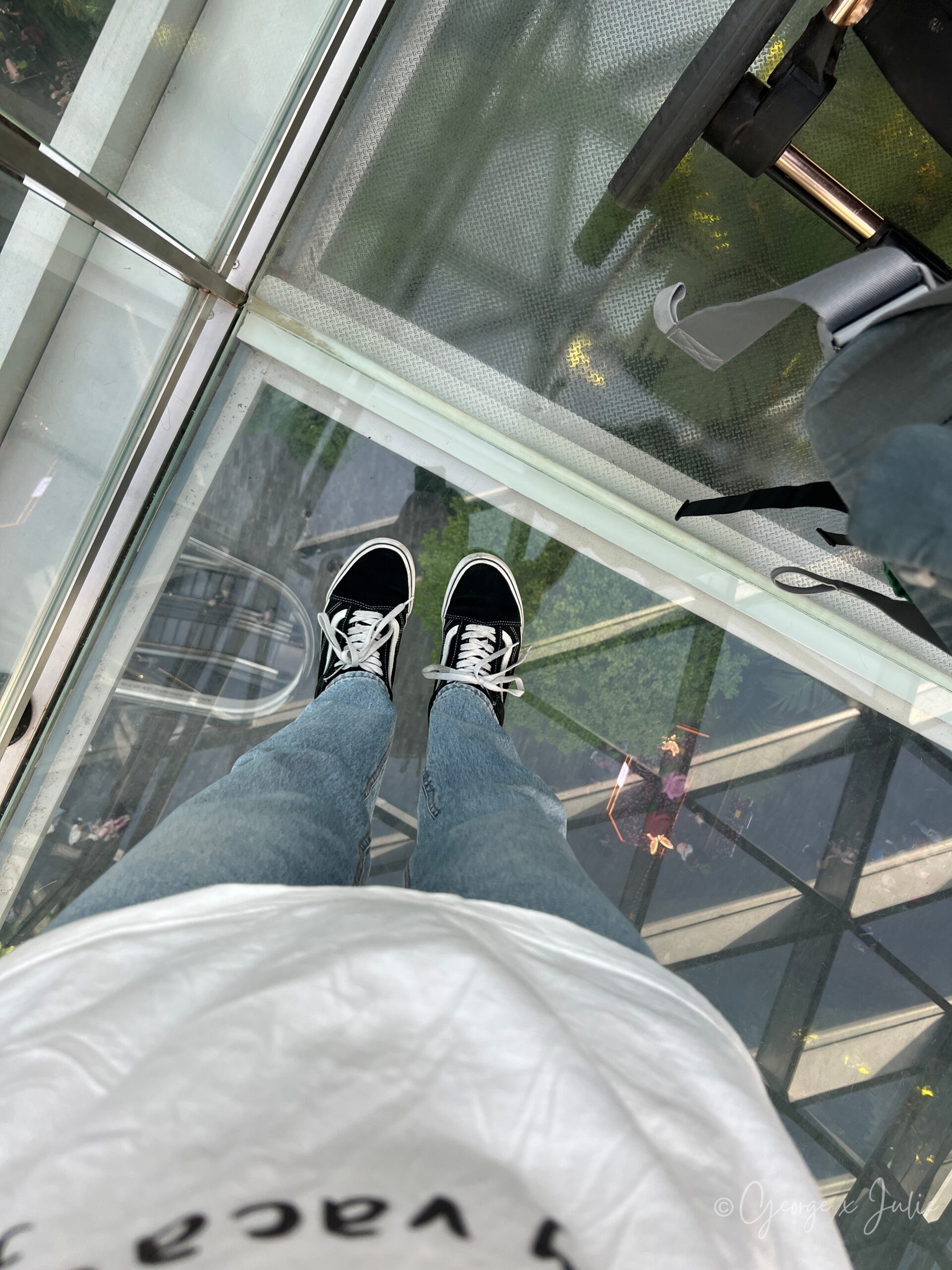 【新加坡親子景點】星耀樟宜星空花園Canopy Park|鏡子迷宮、天懸橋親子實玩攻略 26 低頭看 Canopy Bridge 中段的透明玻璃地板,腳下的樓層清楚可見