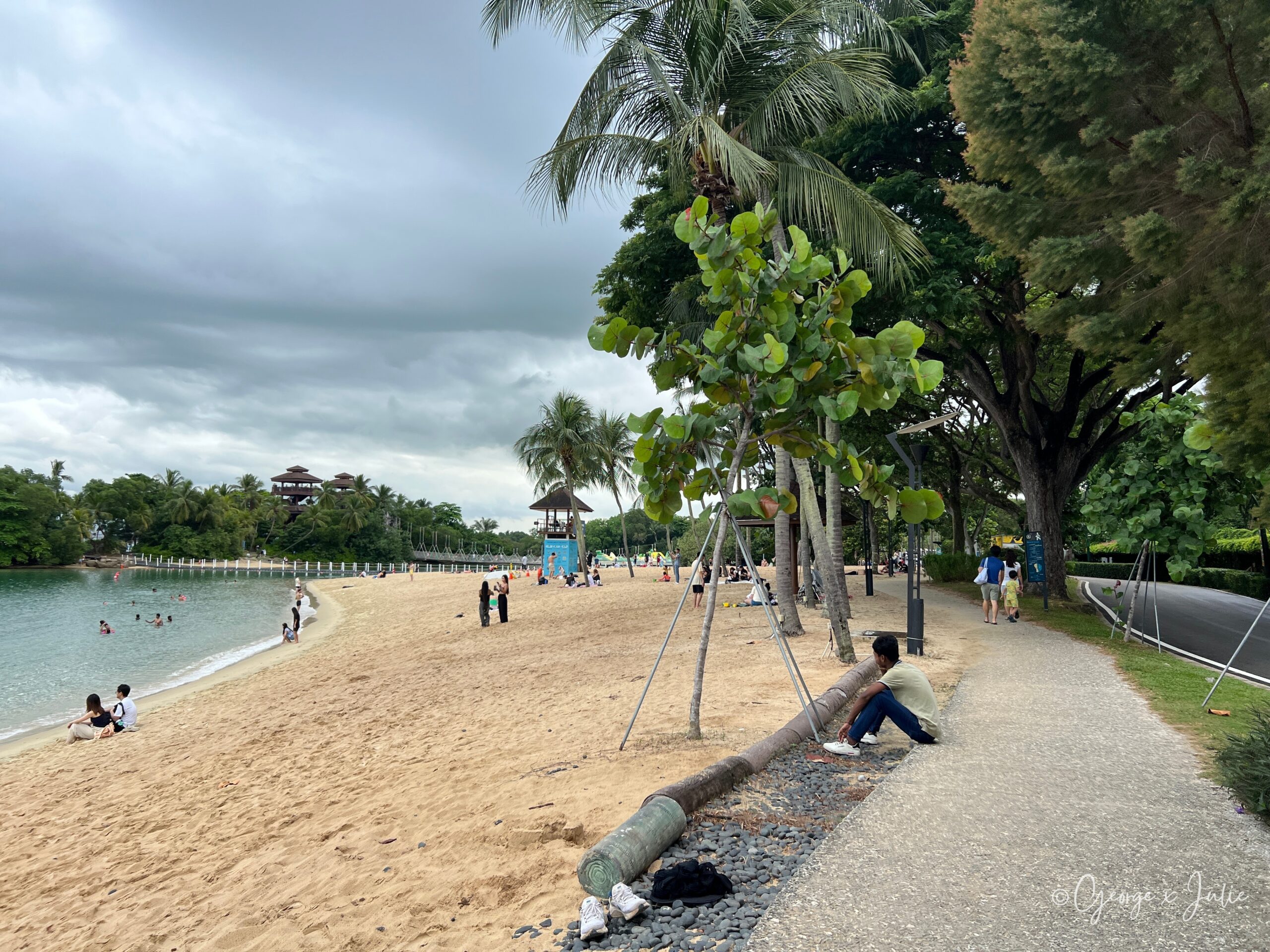 【新加坡景點】聖淘沙亞洲大陸最南端|Palawan Beach 90度椰子樹、吊橋免費踩點 3 沙灘旁的步道,一段倒下的椰子樹幹斜放在步道邊,遊客坐著休息,遠方沙灘上人不多