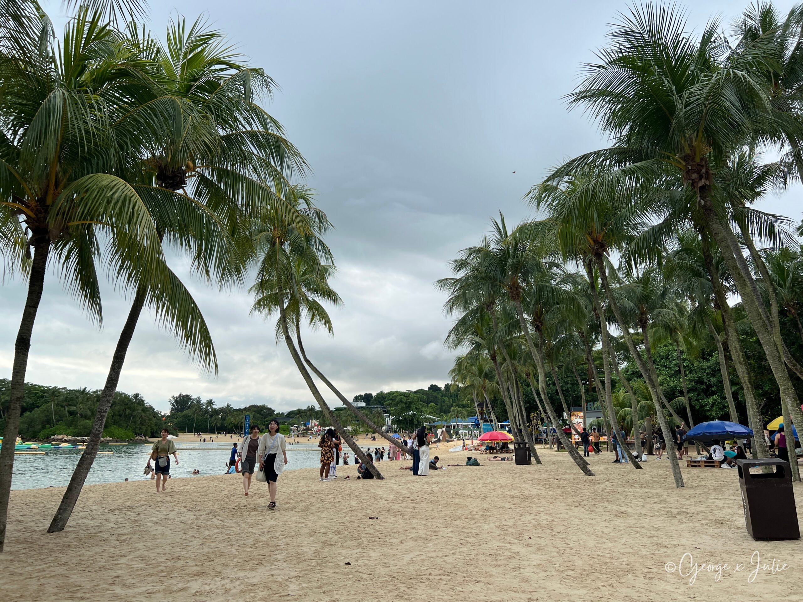 【新加坡景點】聖淘沙亞洲大陸最南端|Palawan Beach 90度椰子樹、吊橋免費踩點 4 高聳的椰子樹沿著沙灘排開,遊客三三兩兩在沙灘上散步,天空烏雲密布