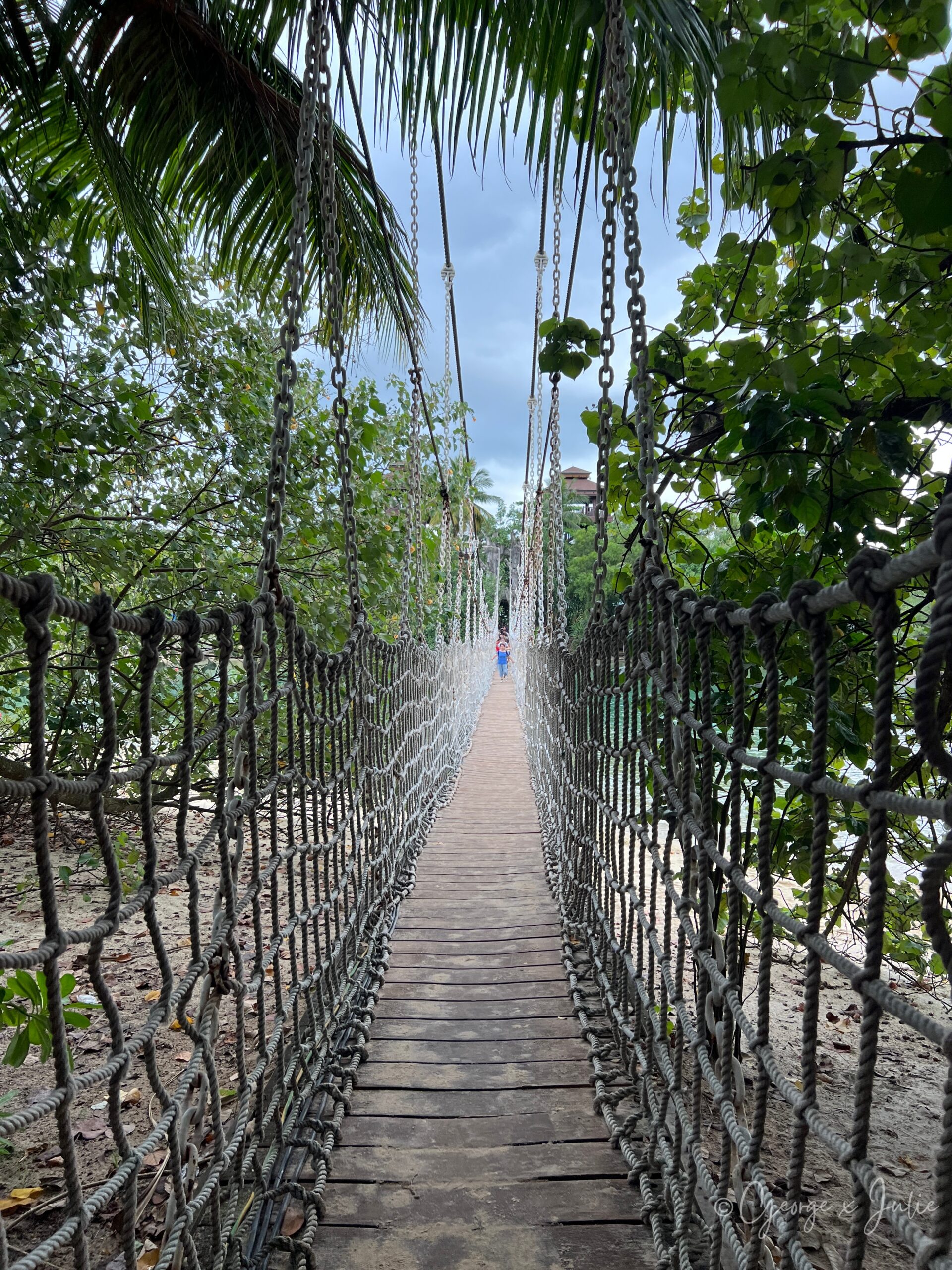 【新加坡景點】聖淘沙亞洲大陸最南端|Palawan Beach 90度椰子樹、吊橋免費踩點 9 吊橋中段回望,繩網兩側包覆整座橋身,遊客牽著孩子緩緩通過
