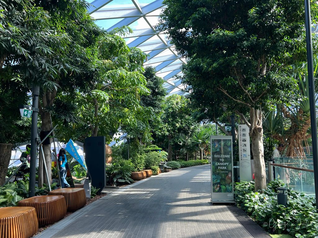 【新加坡親子景點】星耀樟宜星空花園Canopy Park|鏡子迷宮、天懸橋親子實玩攻略 2 IMG 6942