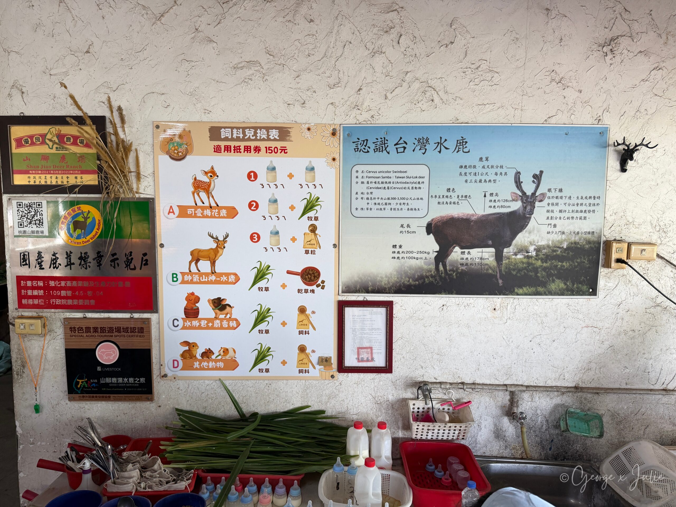 室內牆上的飼料兌換表和認識台灣水鹿介紹板